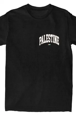 Palestinian Palestine Flag T Shirt Summer Y2K Retro T-Shirts Cotton Hippie Tee Shirt For Men Short Sleeve Casual Clothes
